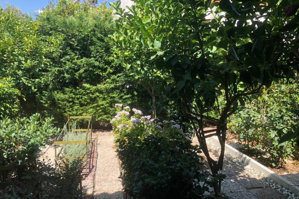 Mesolóngion Ανακαινισμενη Μονοκατοικια 125 Τμ Στο Κεντρο Με Κηποヴィラ エクステリア 写真